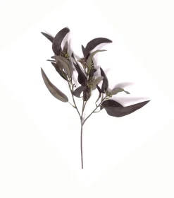 Eukalyptuszweig Schmal | Aubergine | 60cm