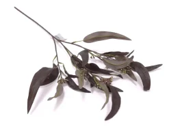 Eukalyptuszweig Schmal | Aubergine | 60cm