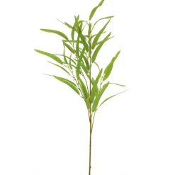 Eukalyptuszweig Schmal | Grün | 90cm