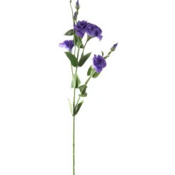 Eustoma | Lila | 80 cm