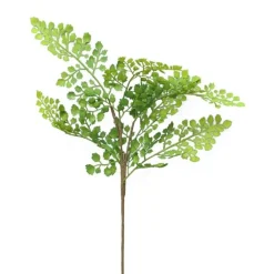 Farn kleines Blatt | Grün | 50cm