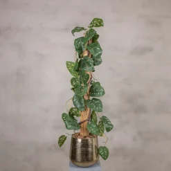 Fensterblatt auf Stamm | Grün | 100cm