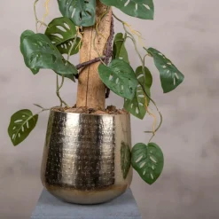 Fensterblatt auf Stamm | Grün | 100cm