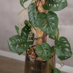 Fensterblatt auf Stamm | Grün | 100cm