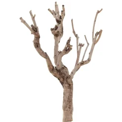 Fliederäste | 70-80cm