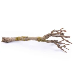 Fliederäste | 70-80cm