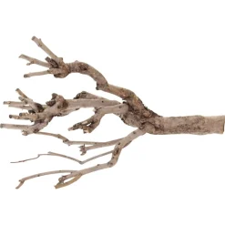 Fliederäste | 60-70cm