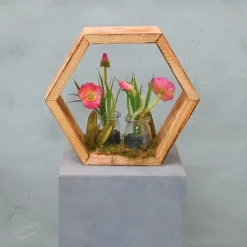 Hexa | Botanischer Garten | 25 cm