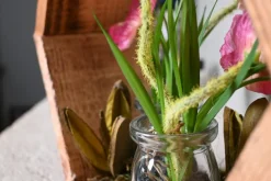 Hexa | Botanischer Garten | 25 cm