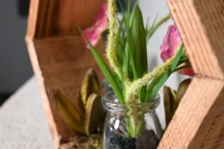 Hexa | Botanischer Garten | 25 cm