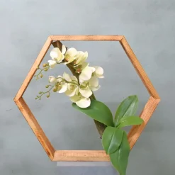 Hexa | Orchidee Eleganz | 50cm