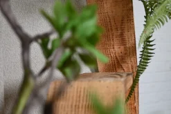 Hexa | Urban Jungle | 50cm