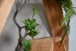 Hexa | Urban Jungle | 50cm