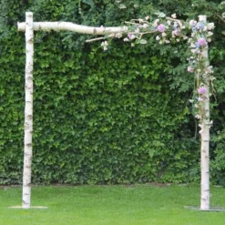 Hochzeitslaube Eden | Birke | 230cm