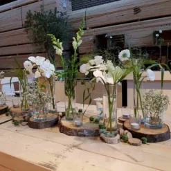 Holzscheibe | Naturbelassen | 25cm