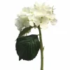Hortensie | Weiß | 45cm