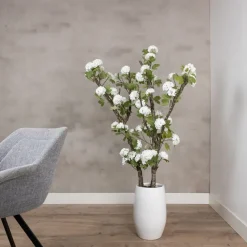 Hortensienstrauch Victoria | Weiß | Ohne Topf | 150 cm