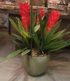 Ingwerlilie künstlich | Rot | 55cm
