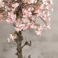 Japanischer Blütenbaum | Rosa | 180 cm