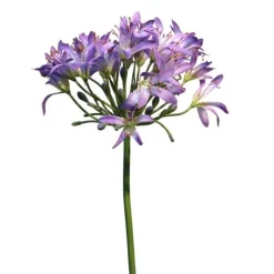 Künstliche Agapanthus Blüte | Lila | 80 cm