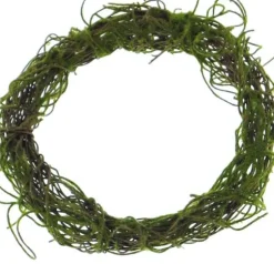 Künstlicher Zweigekranz | Moos | 20cm