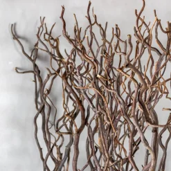 Korkenzieherweide-Raumteiler Axel | Mit schwarzem Fuß | H165cm