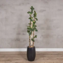 Kunstpflanze Birke | Grün | Mit Topf | 160cm