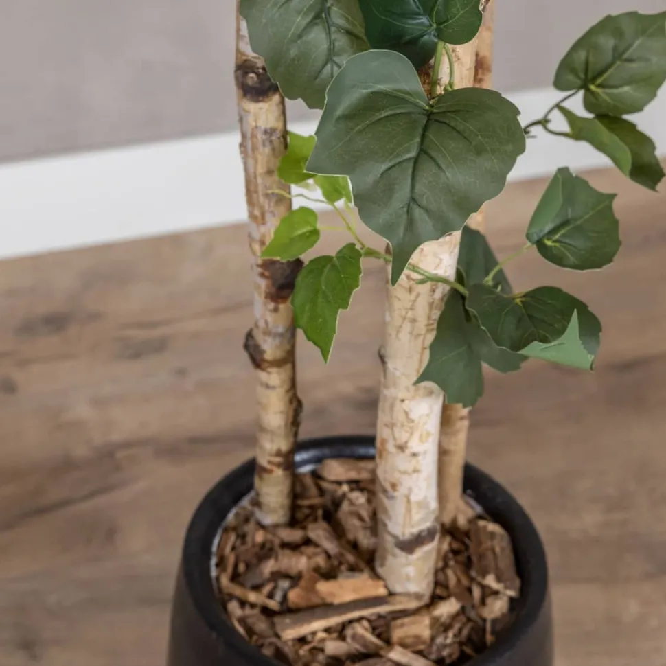 Kunstpflanze Birke | Grün | Mit Topf | 160cm