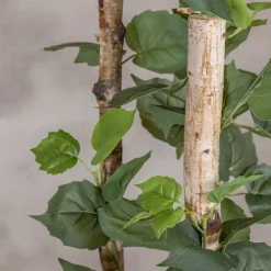Kunstpflanze Birke | Grün | 120cm
