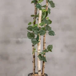 Kunstpflanze Birke | Grün | 120cm