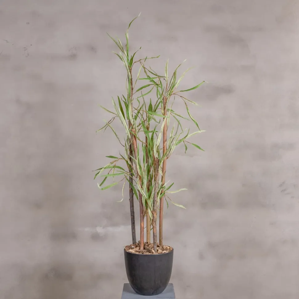 Kunstpflanze Eucalyptus | Grün | 120cm