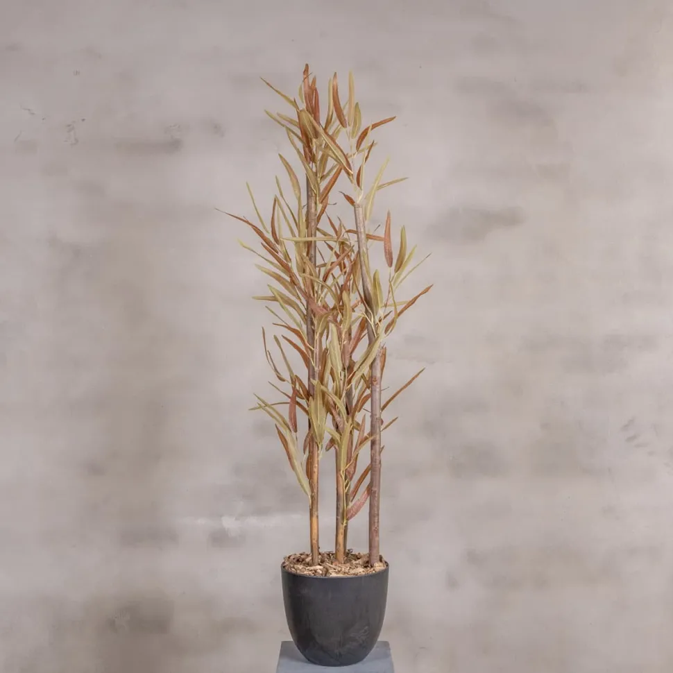 Kunstpflanze Eucalyptus | Rot/Grün | 120cm