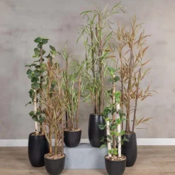 Kunstpflanze Eucalyptus | Grün | Ohne Topf | 160cm