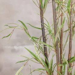 Kunstpflanze Eucalyptus | Grün | Mit Topf | 160cm