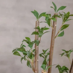 Kunstpflanze Ficus | Grün | Mit Topf | 160cm