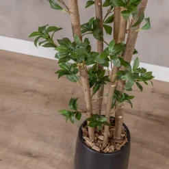 Kunstpflanze Ficus | Grün | Mit Topf | 160cm