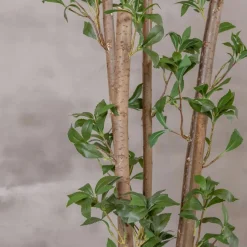 Kunstpflanze Ficus | Grün | 120cm