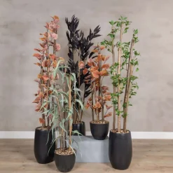 Kunstpflanze Mango | Schwarz | Ohne Topf | 160cm