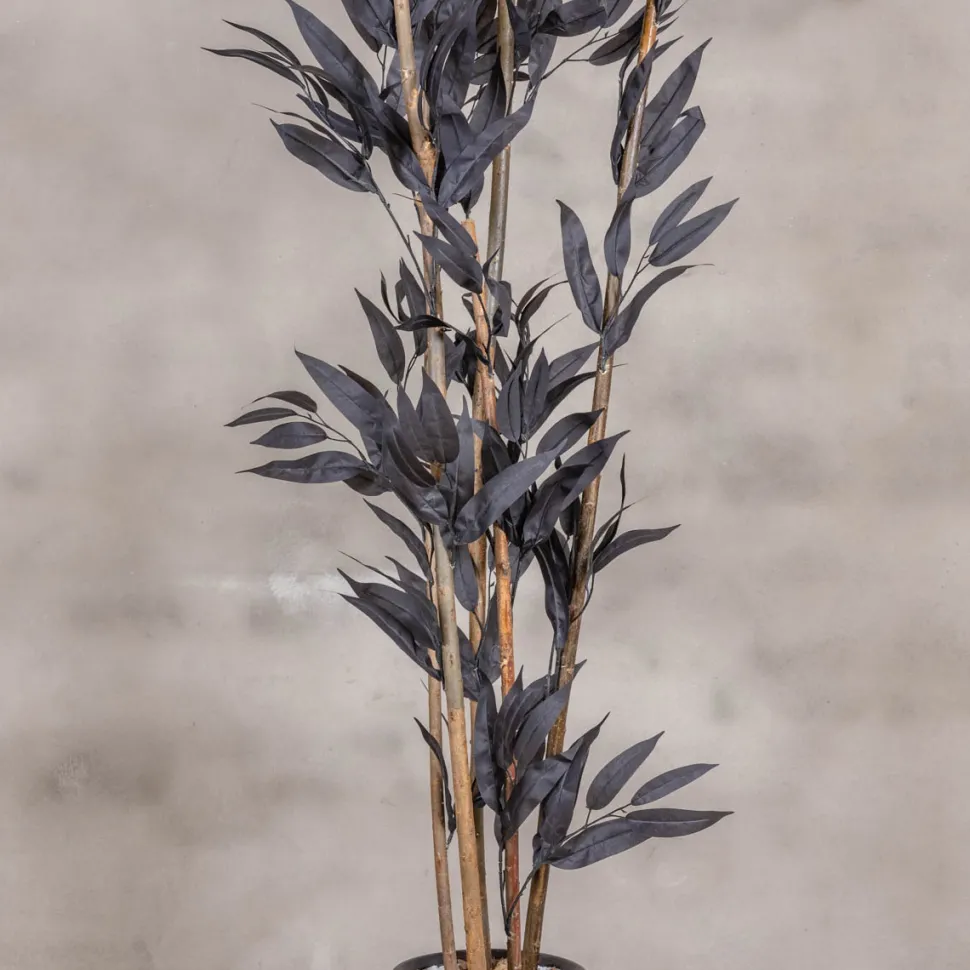 Kunstpflanze Mango | Schwarz | Mit Topf | 160cm