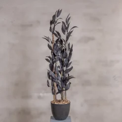 Kunstpflanze Mango | Schwarz | 120cm