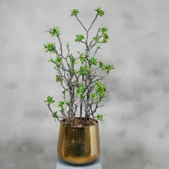 Kunstpflanze Vera | 80 cm