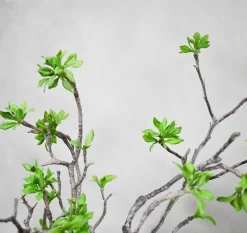 Kunstpflanze Vera | 80 cm