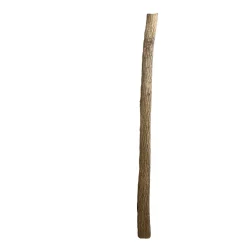 Lindenstamm | Länge 175-250cm | Ø 8-9cm