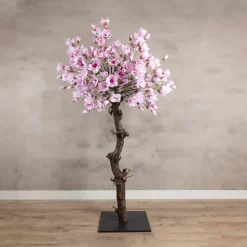 Magnolienbaum | Rosa | 180 cm