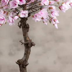 Magnolienbaum | Rosa | 180 cm