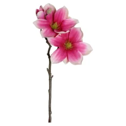 Magnolienzweig | Fuchsia | 40cm
