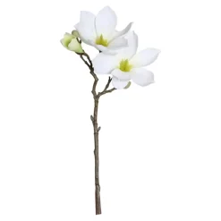 Magnolienzweig | Weiß | 40cm