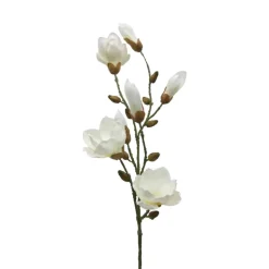 Magnolienzweig | Weiß | 85cm