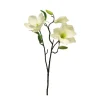 Magnolienzweig | Weiß | 60cm