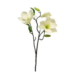 Magnolienzweig | Weiß | 60cm